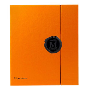 VISION – MORPH