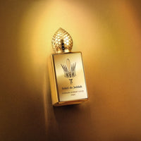 SOLEIL DE JEDDAH - STEPHANE HUMBERT LUCAS - immagine 4