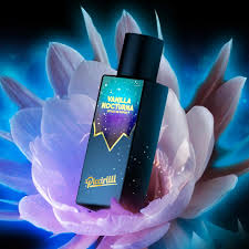 VANILLA NOCTURNA - iPICCIRILLI - immagine 3