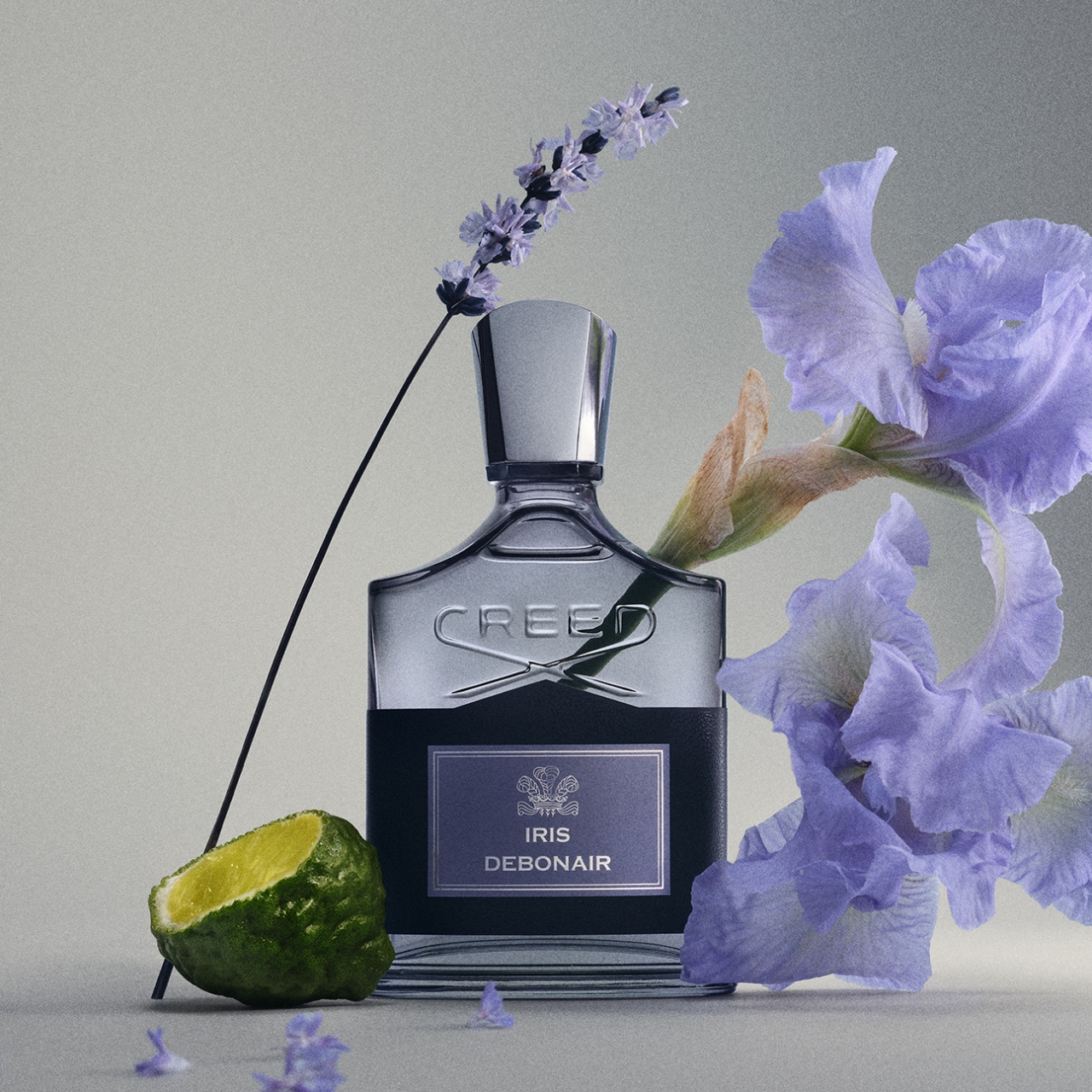 IRIS DEBONAIR - CREED - immagine 2